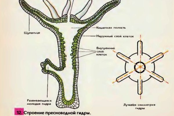 Кракен сайт krknwebs